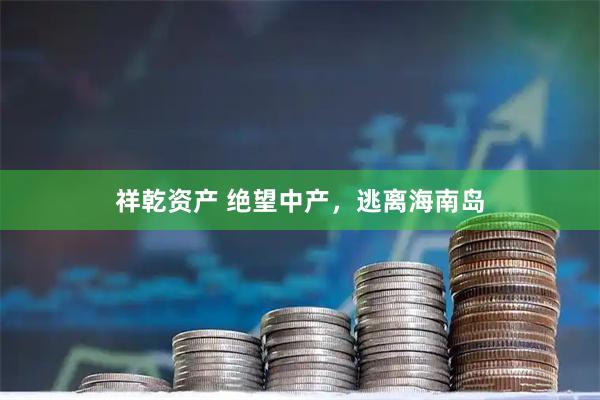 祥乾资产 绝望中产，逃离海南岛