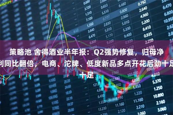 策略池 舍得酒业半年报：Q2强势修复，归母净利同比翻倍，电商、沱牌、低度新品多点开花后劲十足
