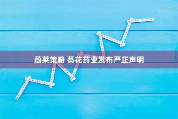 蔚莱策略 葵花药业发布严正声明