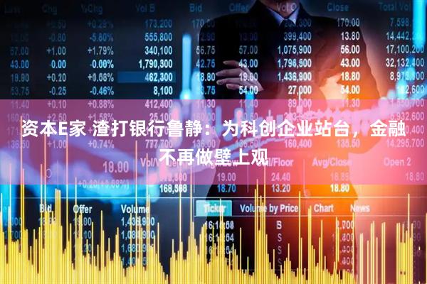 资本E家 渣打银行鲁静:为科创企业站台,金融不再做壁上观